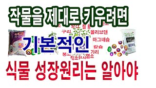 농작물 재배 핵심,작물 생장에 필요한 필수 영양소,   씨앗 싹트기, 식물의 광합성 원리, 과수 꽃눈 형성, 과일나무 가을 비료,  휴면타파 등)