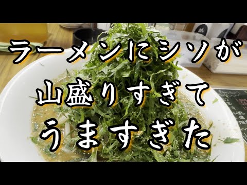 【山盛り】シソ味噌ラーメン　あぐんちゃ　　＃ラーメン＃中華