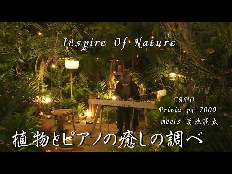 PIANO LIVE in PLANTS 8/25(金) 20:30〜【Inspire of Nature】