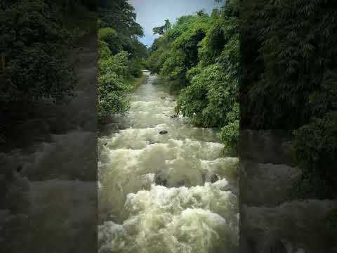 Nature's Flow: 💧A River Journey 🌿 #naturesounds #waterfulsounds #watersounds #mountains