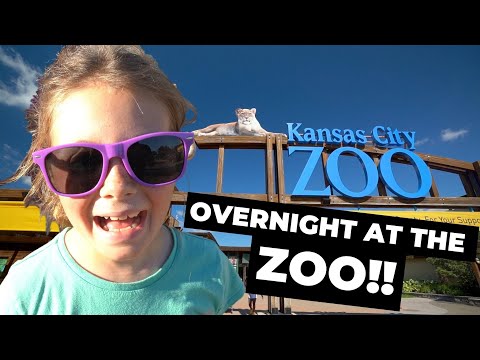 CAMPOUT AT THE ZOO??!! 🦁 | Overnight at the Kansas City Zoo | WE GOT A PRIVATE TOUR!!