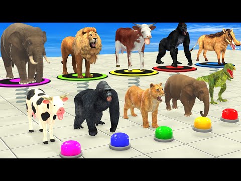 DON'T CHOOSE THE WRONG PATH With Elephant, Cow, Lion, Gorilla Animals Mystery Game Button Challenge