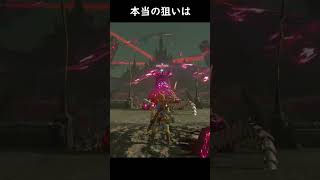 本当の狙い【ゼルダの伝説 ブレスオブザワイル】