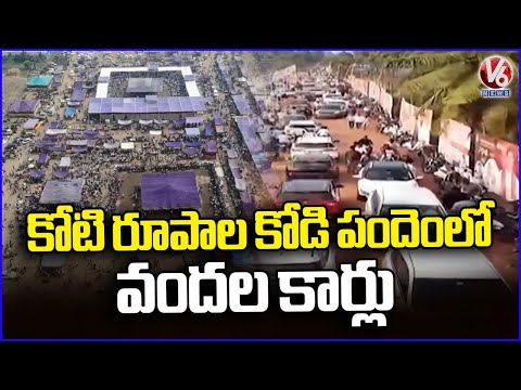 Hundread Of Cars Gathered In Thadepalligudem Cocks Fight At West Godavari | V6 News