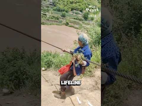 The Last Zipline Grandma