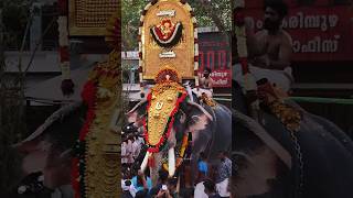 Kottappuram Pooram 2025 #2025 #pooram #kottapurampooram #aanakotta #aanapremi #aanapooram