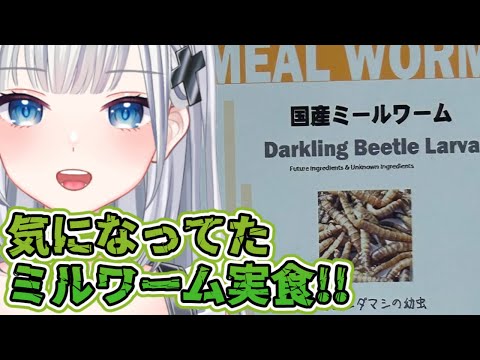 頂いたミルワーム実食する!! ＃新人Vtuber ＃Vtuber