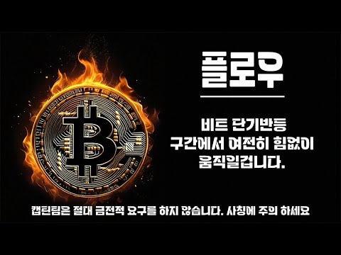 플로우 코인 전망 ㅣ 플로우 주말전 한번더 말씀드리고 넘어가겠습니다