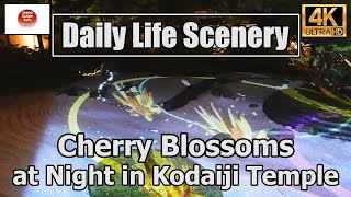 "Cherry Blossoms at Night in Kodaiji Temple"  高台寺の夜桜 (Projection Mapping)【4K】Daily Life Scenery