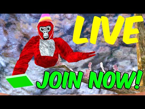 🔴GORILLA TAG FAN LOBBIES SHORTS STREAM!🔴(#gorillatag)🦍JOIN IN!✨