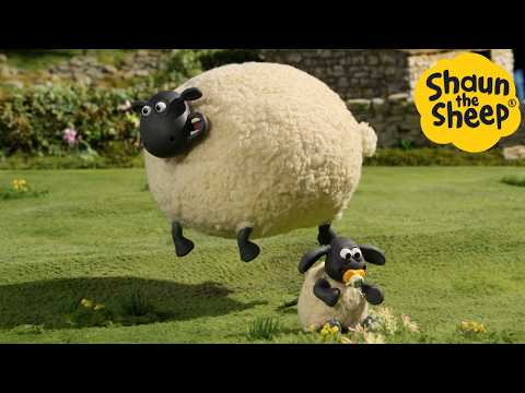 Can Sheep Fly? 🐑 Shaun the Sheep - Cartoons for Kids 🐑 Full Episodes Compilation [1 hour]