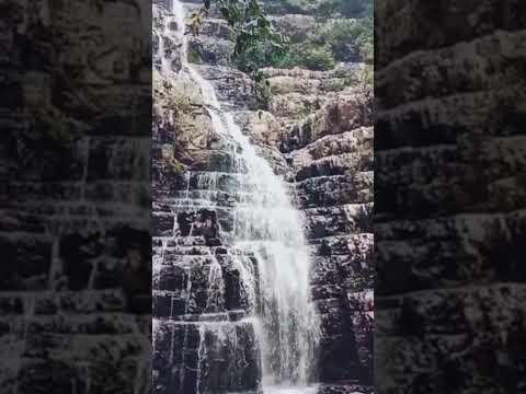 Talakona Waterfalls #shorts #shortvideo #waterfall #water #talakona #jarajara #tirupati