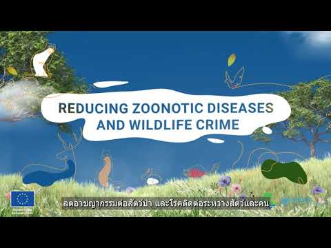 SAFE: Reducing zoonotic risks and wildlife crime (Thai subtitles)