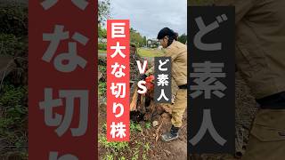 残り155日 素人vs巨大な切り株 #古民家 #古民家再生 #古民家宿