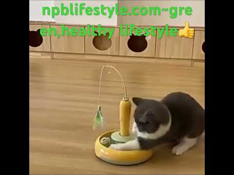 Enjoy a green and healthy lifestyle.#pets #petsupplies #petproducts#cat#cattoys#pettoys#npblifestyle