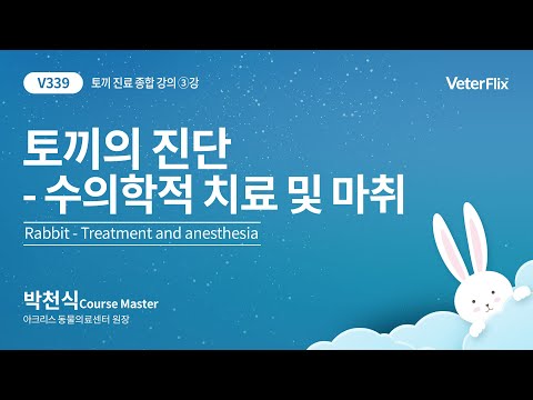 [베터플릭스][토끼 종합 진단 과정] 토끼의 수의학적 치료 및 마취(Rabbit-Treatment and anesthesia)