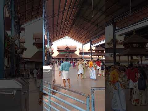 ഗുരുവായൂരപ്പന്റെ നടയിൽ 🙏🙏🙏#shortsvideo #guruvayoorappan #guruvayurtemple