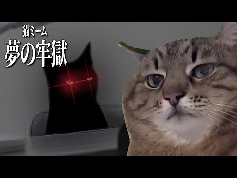 【猫ミーム】謎の牢獄から逃げ出す猫たちの物語 第7話