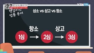 헷갈리는 법률 용어 집중 분석!  / YTN 라이프