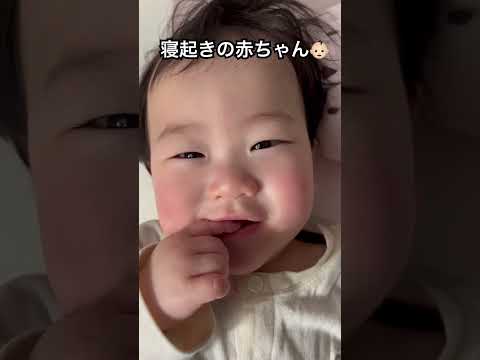 寝起きでぼーっとする赤ちゃん👶🏻#赤ちゃん #赤ちゃん #赤ちゃんのいる生活 #日韓ハーフ #生後8ヶ月#かわいい #아기#아기영상