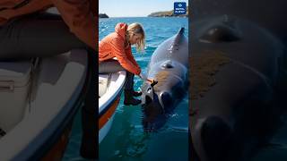 Kind Girl Helps Majestic Whale in Clear Waters of the Ocean #WhaleRescue #OceanLife #AnimalCare