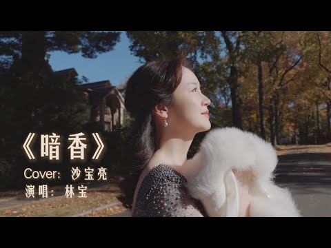 ‘Faint Fragrance’ 林宝《暗香》BAOBAO LIN