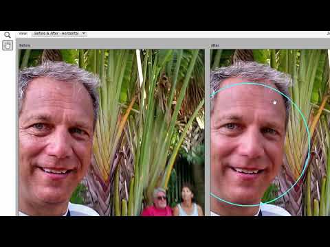 Basic Training for Photoshop Elements 2023, Part 7 of 8