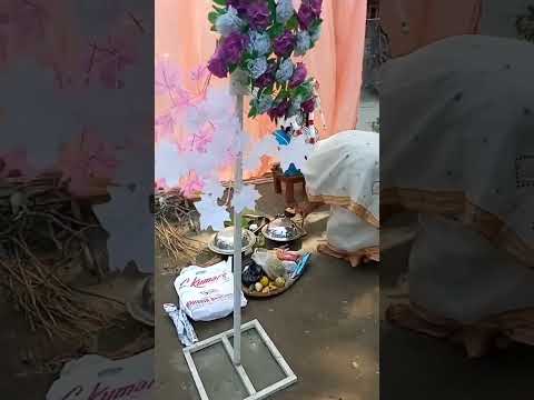 saraswati Puja For Hindi #short #viral #hindu #hinduism #hindutva