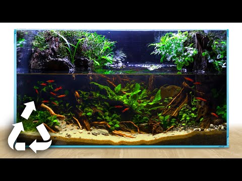 I Made an Upcycled Paludarium. Here’s How.