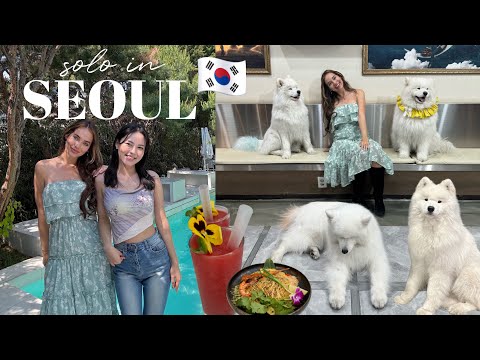 SOLO in SEOUL VLOG 🇰🇷 samoyed cafe, fwee pop up in seongsu and lunch at saladaeng embassy