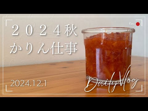 【dailyvlog】2024秋 かりん仕事