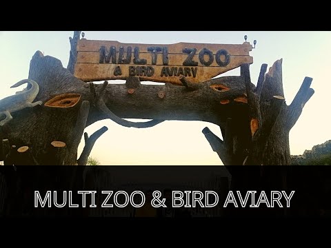 Multi Zoo & Bird Aviary Vlog / Family Trip / Surprise for Amaan ❤️ #multigardensB17 #multizoo