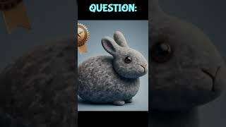 PET LOVERS TRIVIA CHALLENGE #shorts