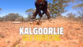 Chunk of Kalgoorlie Gold !! Prospecting | GPX 6000 | GPZ 7000