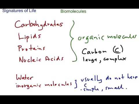 Biomolecules