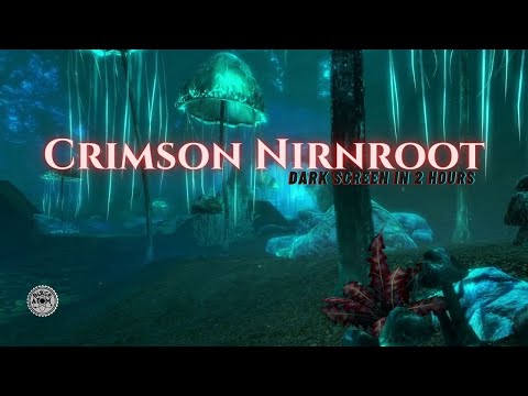 Crimson Nirnroot Sleep Ambience ⨀ Soothing Skyrim Soundscape for Deep Sleep and Relaxation