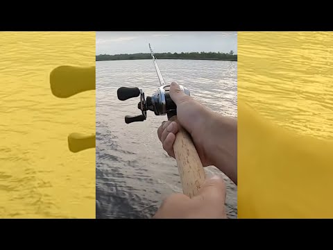 How NOT to Fish For Muskie