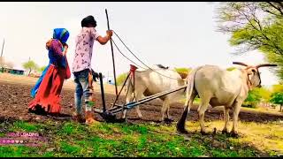 सिंगर सुरपाल सिंगाड🔥 भाभी ओरेगीतकार बवंडर का कलाकार बुवार भाई सिगांडएंड राहुल चरपोटा 2022  वीडियो