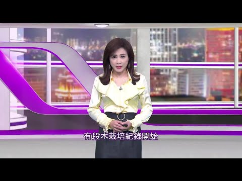 《新聞思想啟》 第146集 台菇保衛戰