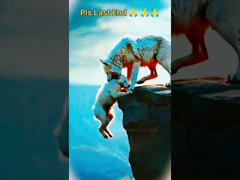 Maa Fox 🦊 Mother Love #animals #fox #shorts #ytshorts #youtubeshorts