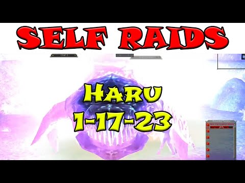 12 Boxing Haru, The Corathus Beast (3x Augs/Wrist) - Everquest TLP