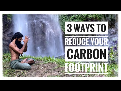 3 Ways to Reduce your Carbon Footprint