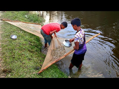 ঠেলা জাল দিয়ে মাছ ধরা | machhi wala video | Net Fishing Video village| best fish video