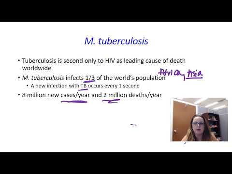 Mycobacterium tuberculosis characteristics and transmission