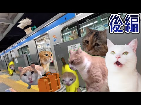 猫ミームから始まる謎の物語《後編》【猫ミーム】【猫マニ】