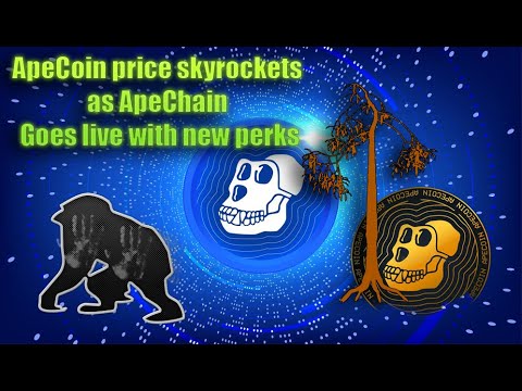 ApeCoin price skyrockets as ApeChain goes live with new perks