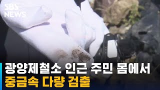 포스코 광양제철소 인근 주민 몸에서 중금속 다량 검출 / SBS