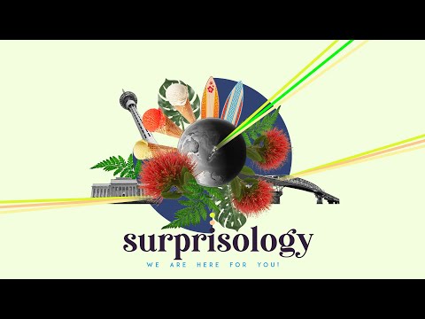 A conversation on surprisology