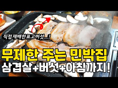 생삼겹살+묵은지+바로 갓 딴 표고버섯 삼합구이 무제한 주는 밥 잘주는 민박집ㅣ바로 따서 먹는 버섯맛이란?! ㅣ버섯요리 풀코스로 주는 1박2식 펜션 추천