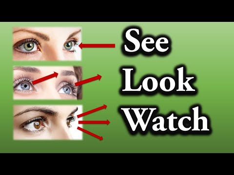 Differences between see, look and watch (with examples and exercises)